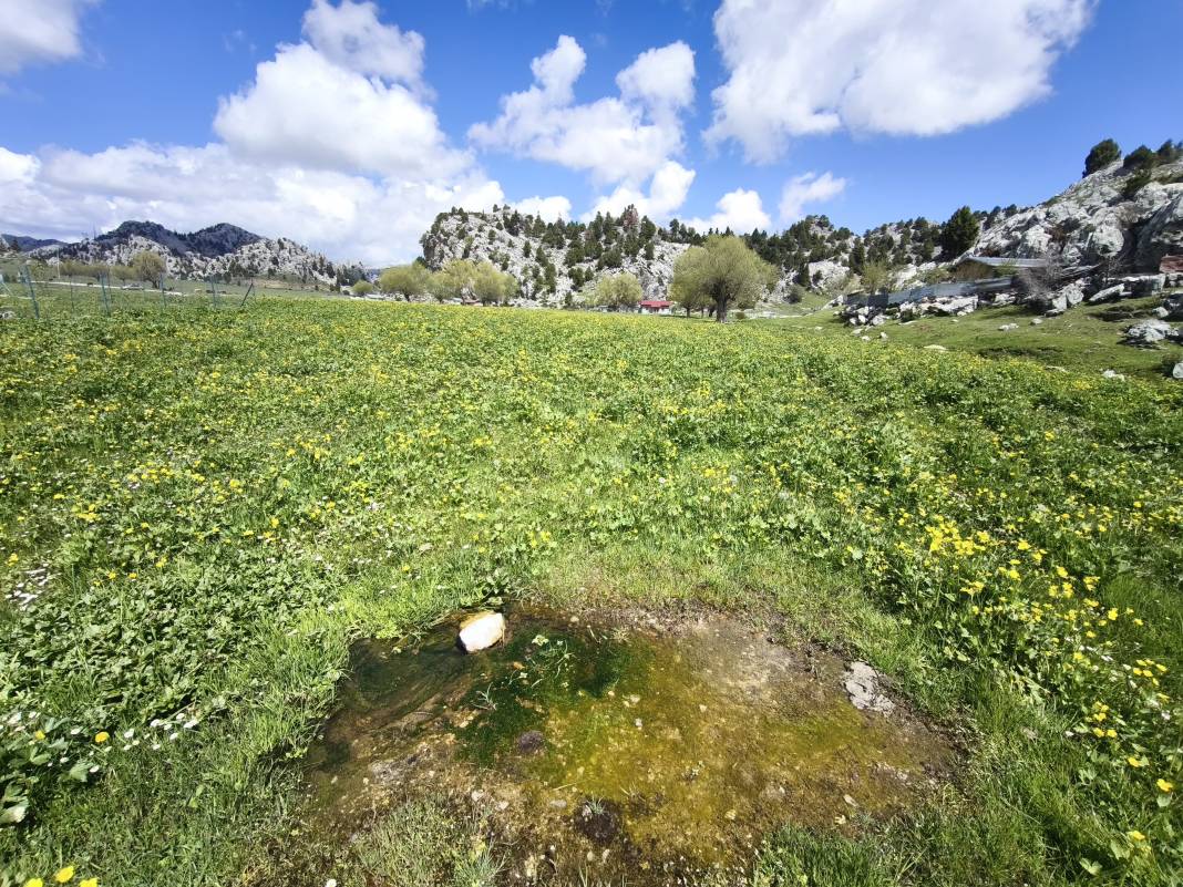 Konya’nın ünlü yaylasında baharın renkli yüzü çıktı 13